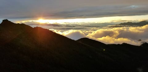 本日のサロン情報Re.Ra.Ku上野店