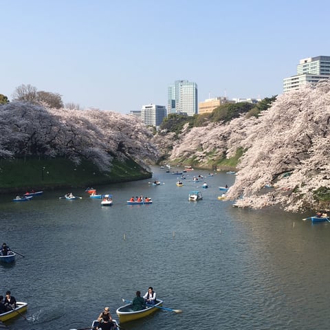 新丸子店3/30(金)の予約空き情報♪