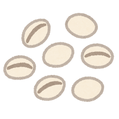 ☆スーパーフード☆