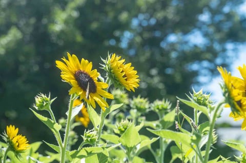 ＜本日7/ 10空き状況＞ 