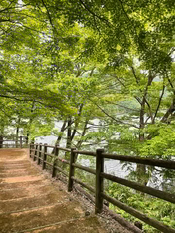 新緑の季節