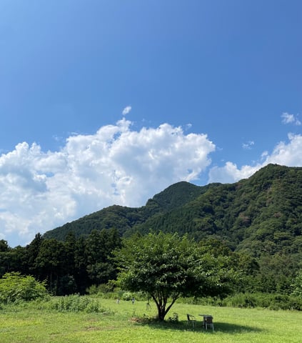 大自然