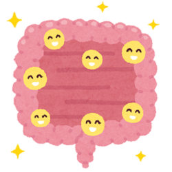 腸内環境の調整を リラク北浦和店