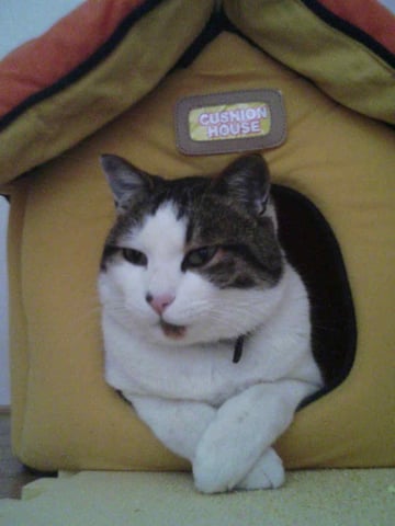 もうすぐゴールデンウィークですね！！