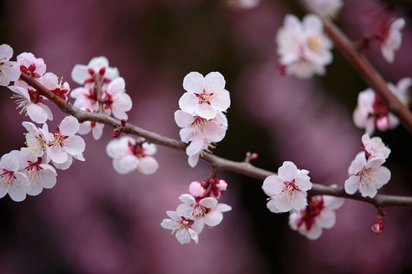 31st/Mar 空き時間のご案内_Information on today's available time