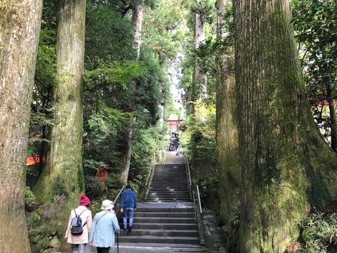 至高の昼ご飯は伊勢原発！こいずみ