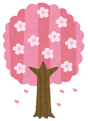 桜の見ごろ