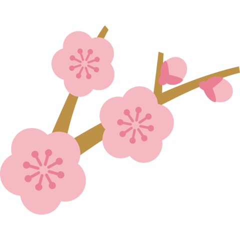 【★本日の2/27(火)本日のご案内状況★】