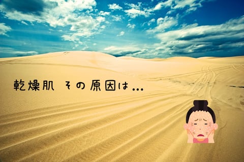 【健康コラム】　～乾燥肌の原因～