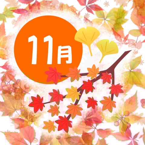 11月ですね！！