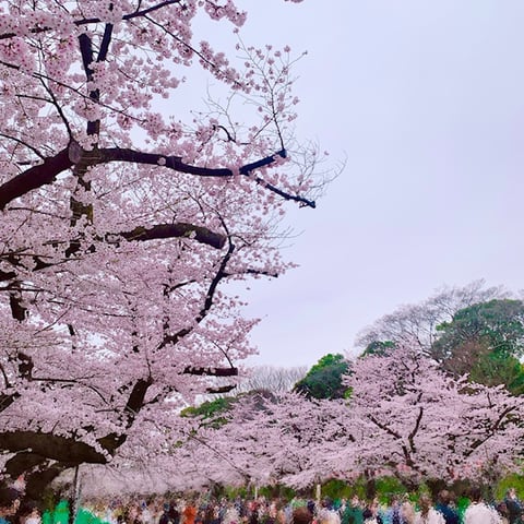 【Re.Ra.Ku　光が丘IMA店】大地の結晶