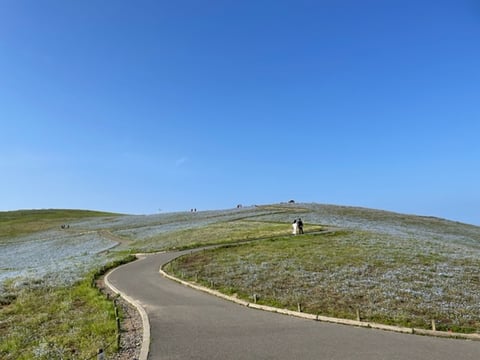 【Echika表参道店】ドライブ日和😊