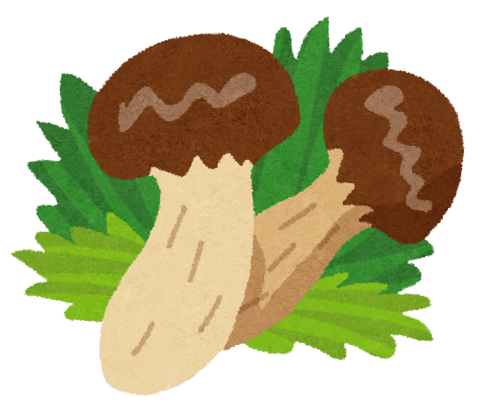 秋の味覚を楽しみましょう！