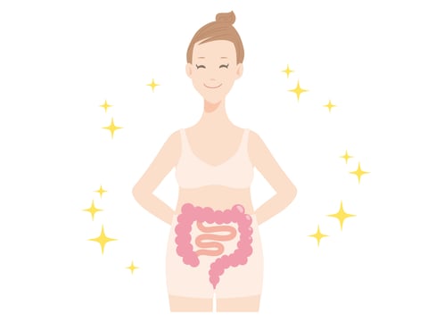 ④オプションメニューの紹介④