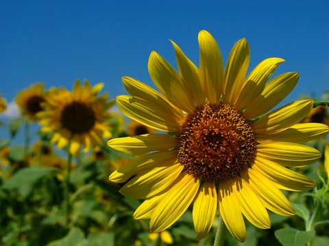 6/7（木）本日のご案内状況