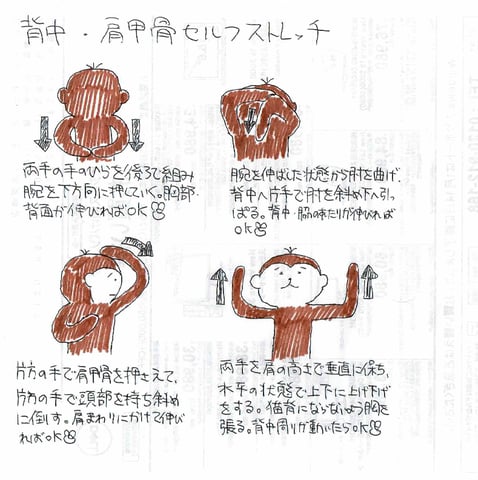 お家で出来る簡単ストレッチ　~背中・肩甲骨編~(*´ω｀*)