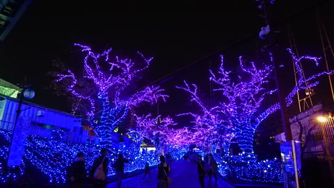 よみうりランド☆11月21日　ご案内可能時間☆