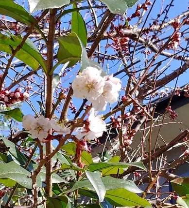 本日の玉学店＆空き時間のご案内です♪