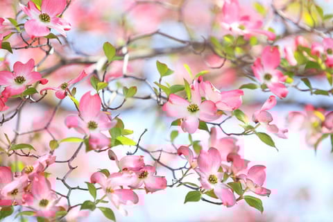 お出かけやお仕事帰り等で疲れた身体をラクにしませんか？