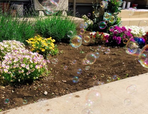 しゃぼんだまにはまってます