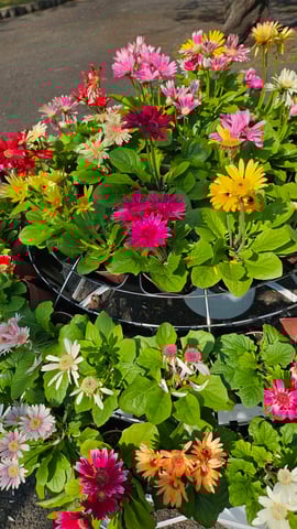 【御成門駅前店】ご近所のおすすめスポット！