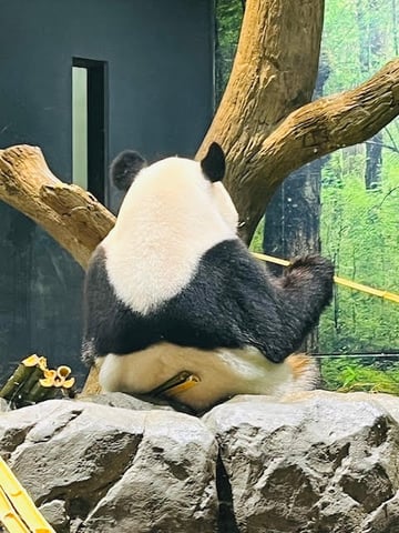 みなさん待ってますよ～