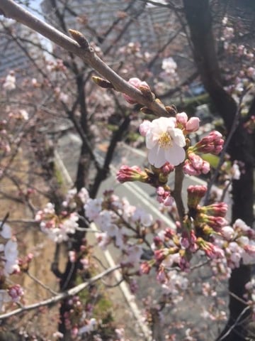 光が丘ＩＭＡ店今週の空き情報（3/26～）