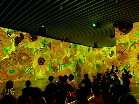 【Re.Ra.Ku　光が丘IMA店】ひまわり