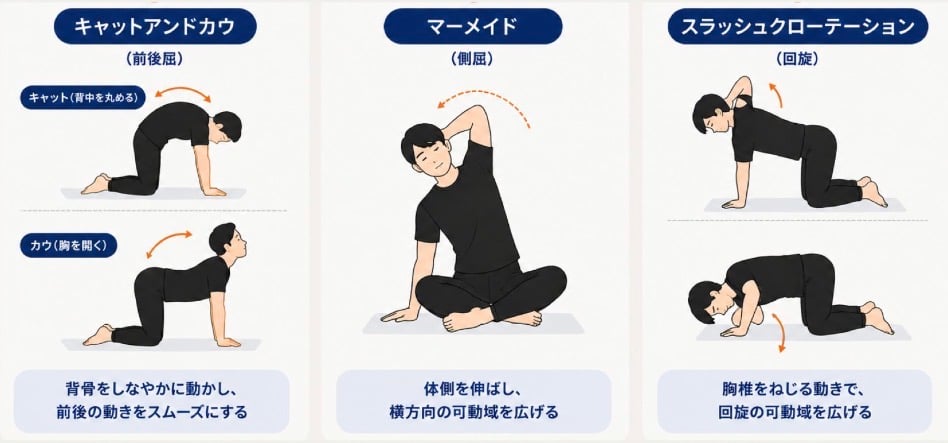 背骨を動かすストレッチ3選★
