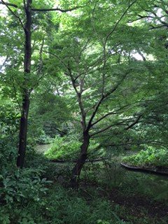 ココロのケアを”(-“”-)”