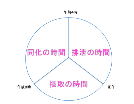 生体リズムを知って健康と美容の習慣を身につけよう！