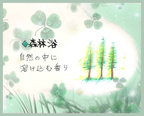 森林浴の香り🍃