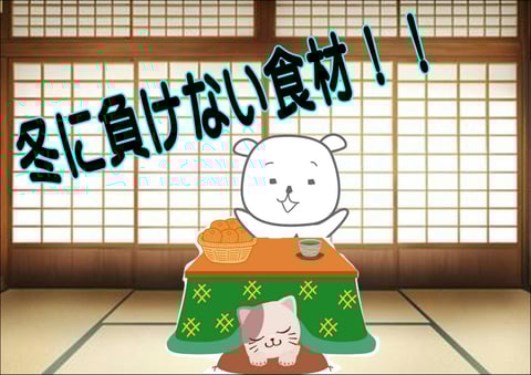 冬はお鍋をよく食べます♪