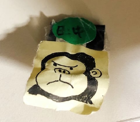 ありがとうたなごりくん