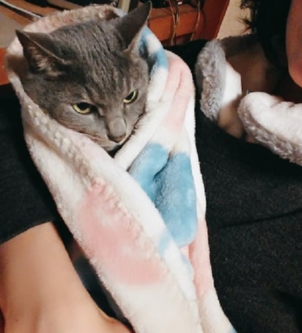 赤ちゃんごっこ