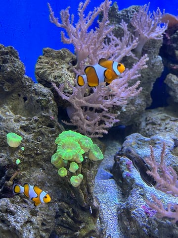 保育園の遠足ぶり！