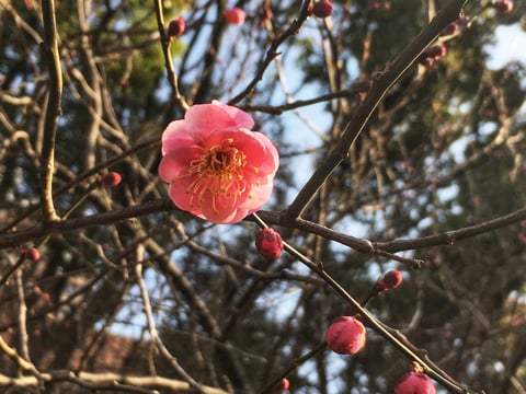 ☆1月18日　ご案内可能時間☆