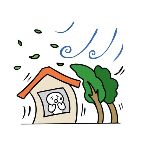 ノロノロ台風について