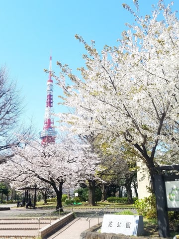 本日、明日のご案内状況♪