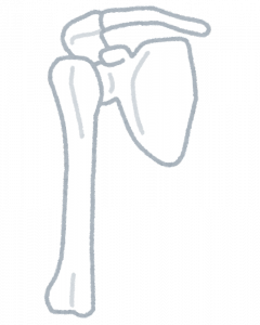 股関節について｜マッサージのように気持ちいい、肩甲骨ストレッチのリラク日本橋店【東京駅,日本橋駅,大手町駅,三越前駅すぐ】