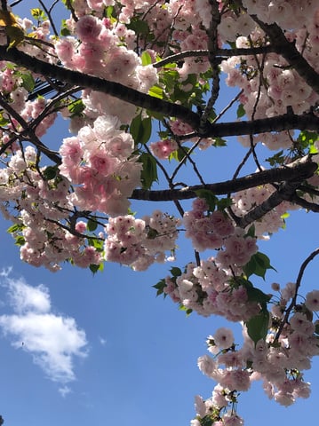 今日の空はどんな空？