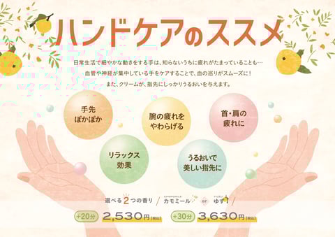 オススメオプション紹介 ＆ 空き情報