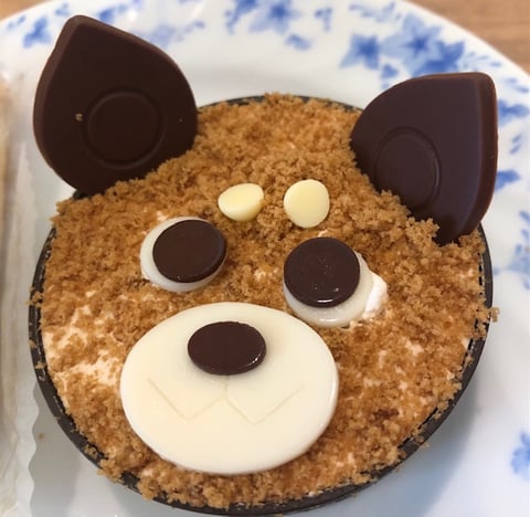 【Echika表参道店】コロコロしばちゃん🐶