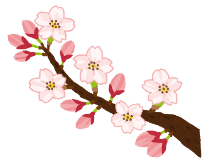 🌸春ですね🌸
