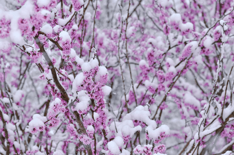 寒い時期の楽しみ方