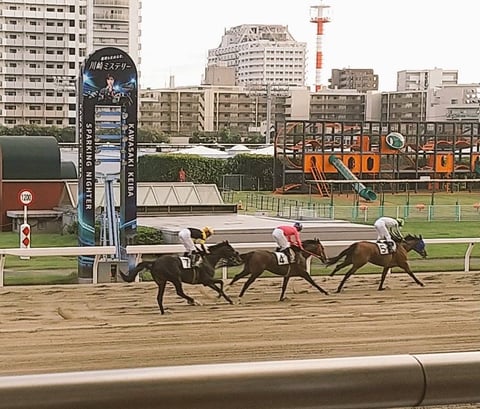 【Re.Ra.Ku　光が丘IMA店】馬肥ゆる