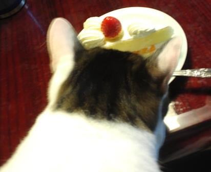 〜ダイエット〜遠藤