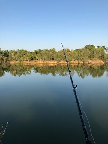 魚釣り