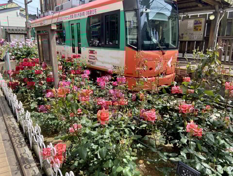 6月より予約メニューが増えました