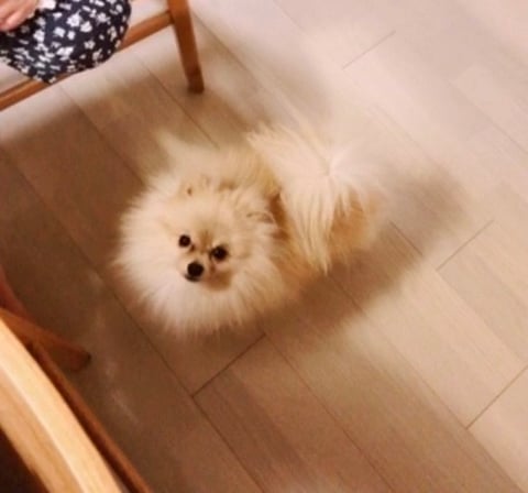 自粛中のむらかみ